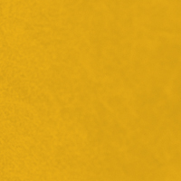 Codice: giallo